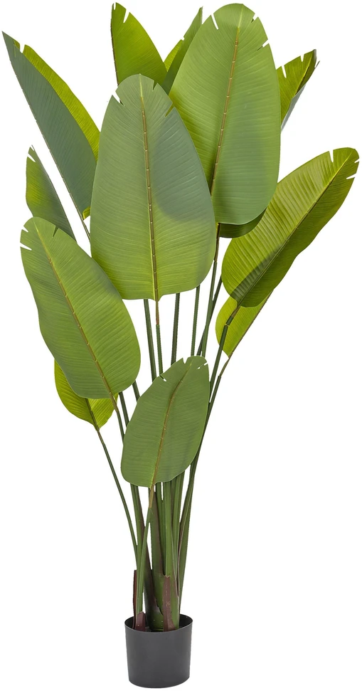 Beliani Dirbtinis augalas BANANA TREE 187 cm žalias