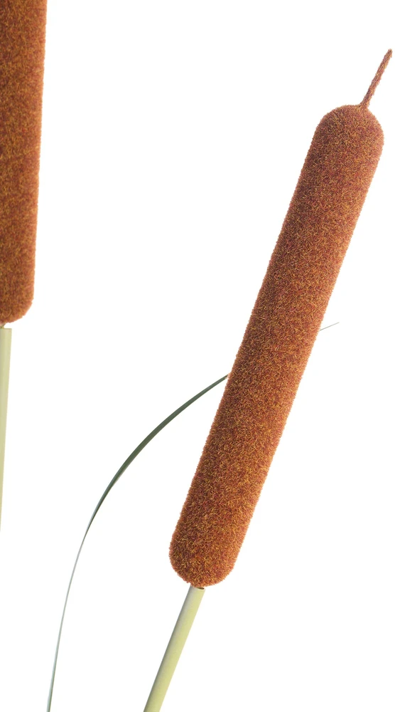 Beliani Dirbtinis augalas BULRUSH 135 cm žalias