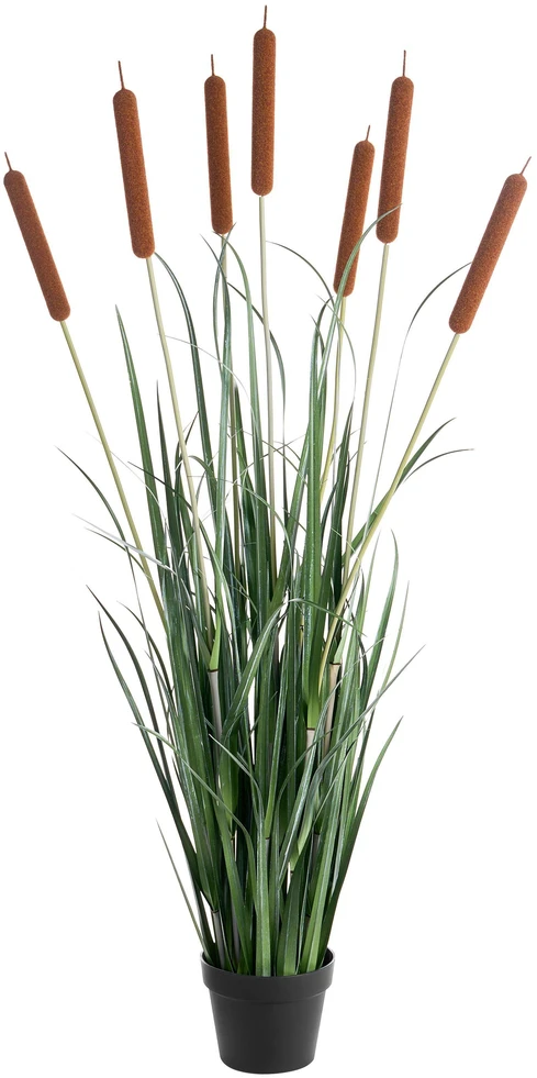 Beliani Dirbtinis augalas BULRUSH 135 cm žalias
