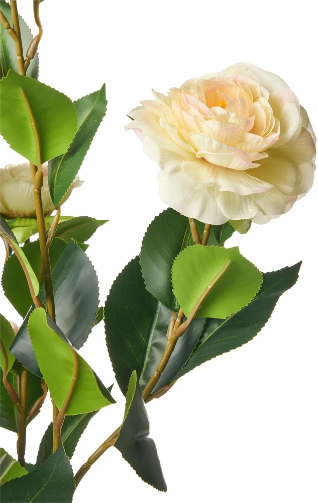 Beliani Dirbtinis augalas CAMELLIA 60 cm žalias