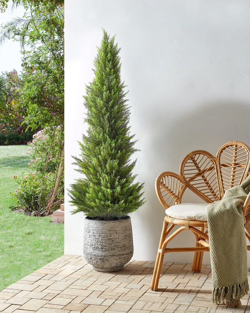 Beliani Dirbtinis augalas CEDAR TREE 153 cm žalias