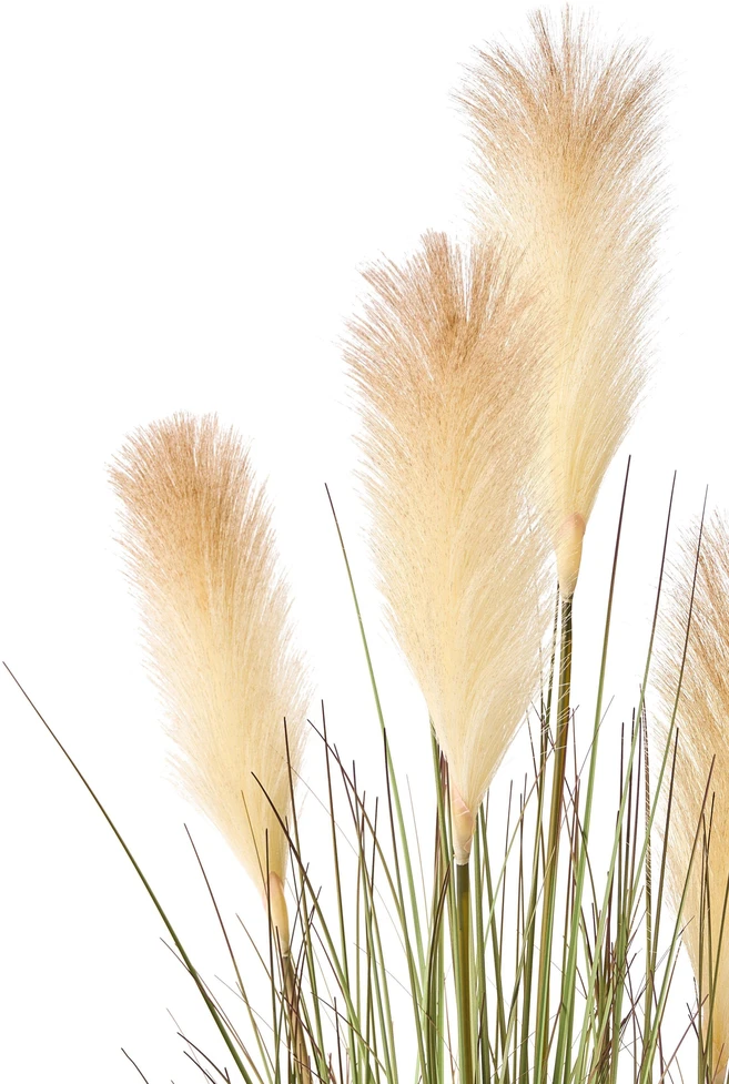 Beliani Dirbtinis augalas CORTADERIA GRASS, 120 cm, žalias