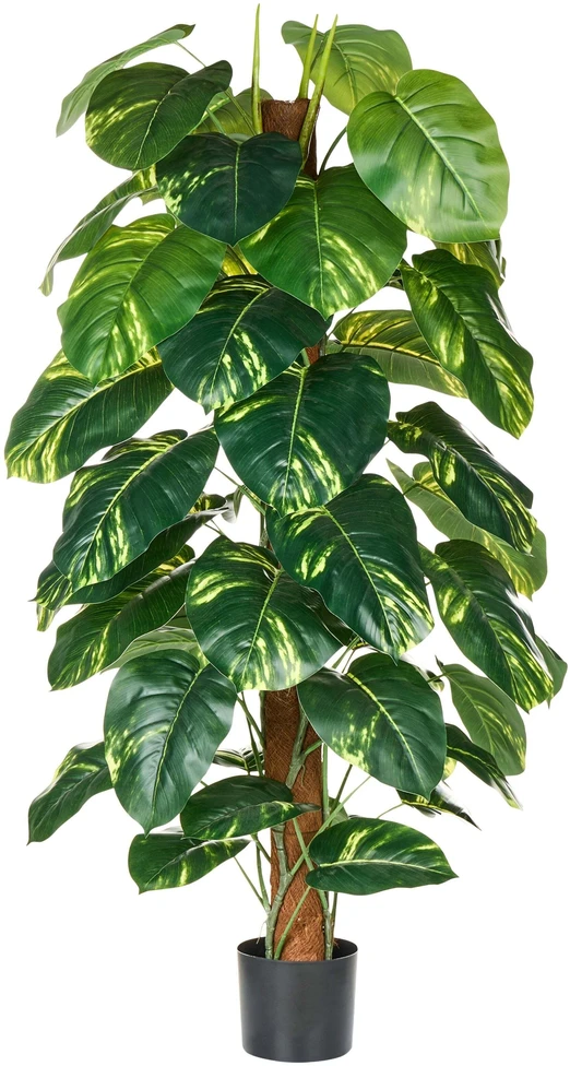 Beliani Dirbtinis augalas DIEFFENBACHIA 152 cm žalias