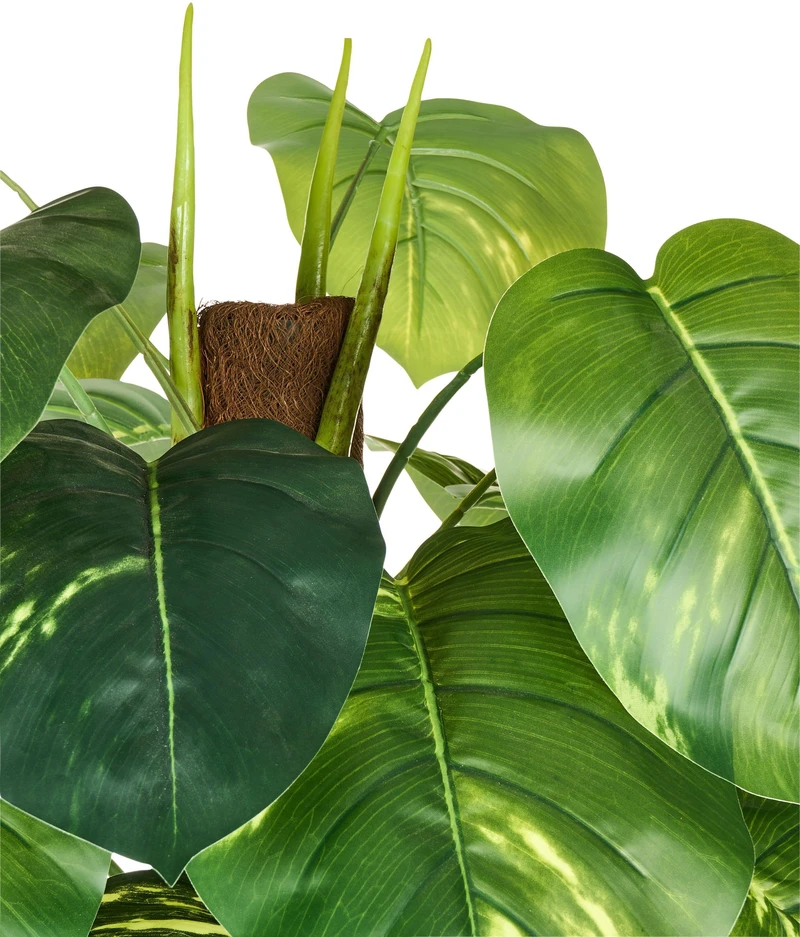 Beliani Dirbtinis augalas DIEFFENBACHIA 152 cm žalias