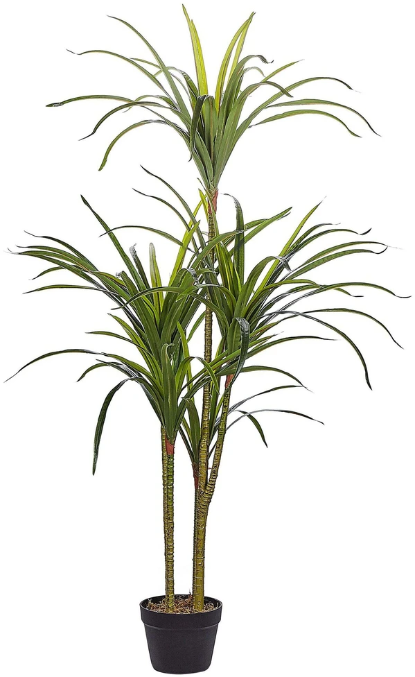 Beliani Dirbtinis augalas DRACAENA ANITA 147 cm žalias