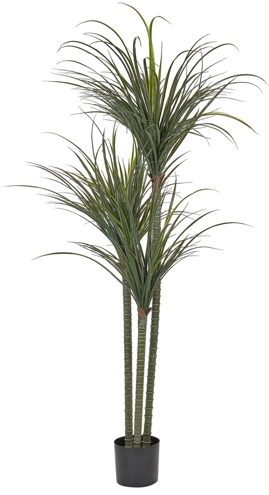 Beliani Dirbtinis augalas DRACAENA ANITA 198 cm žalias