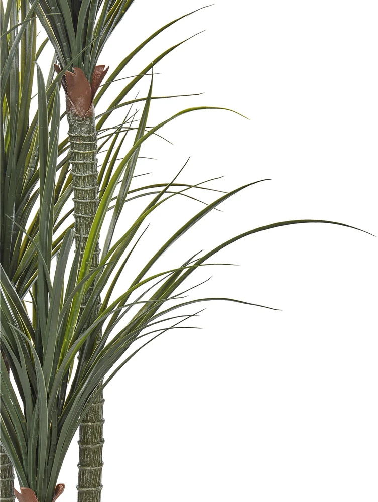 Beliani Dirbtinis augalas DRACAENA ANITA 198 cm žalias