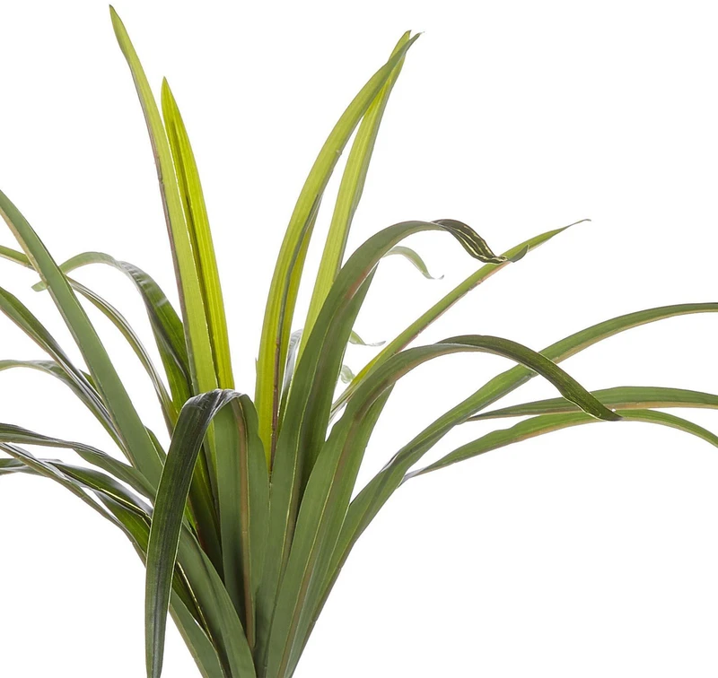 Beliani Dirbtinis augalas DRACAENA ANITA 147 cm žalias