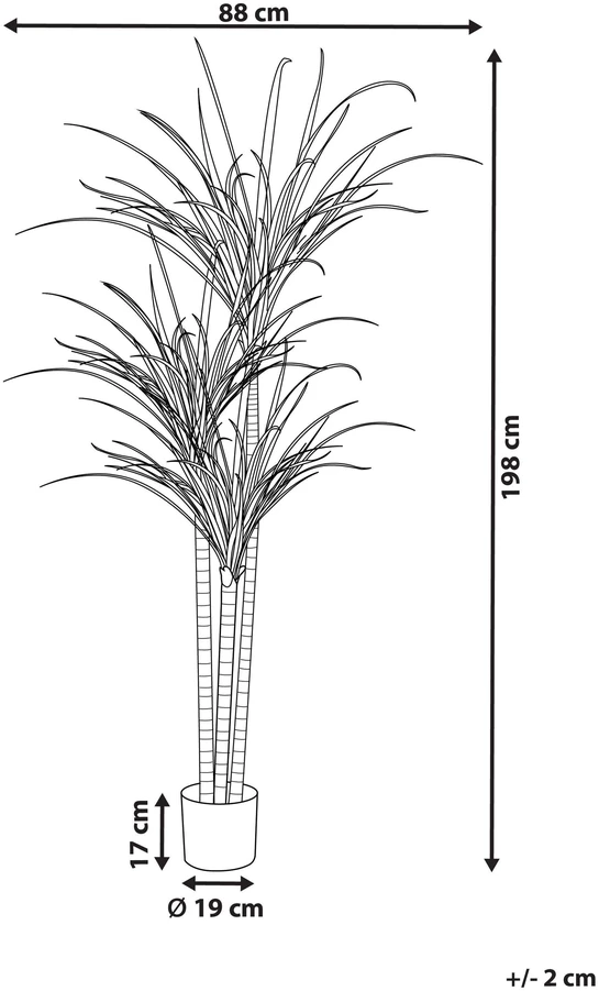 Beliani Dirbtinis augalas DRACAENA ANITA 198 cm žalias