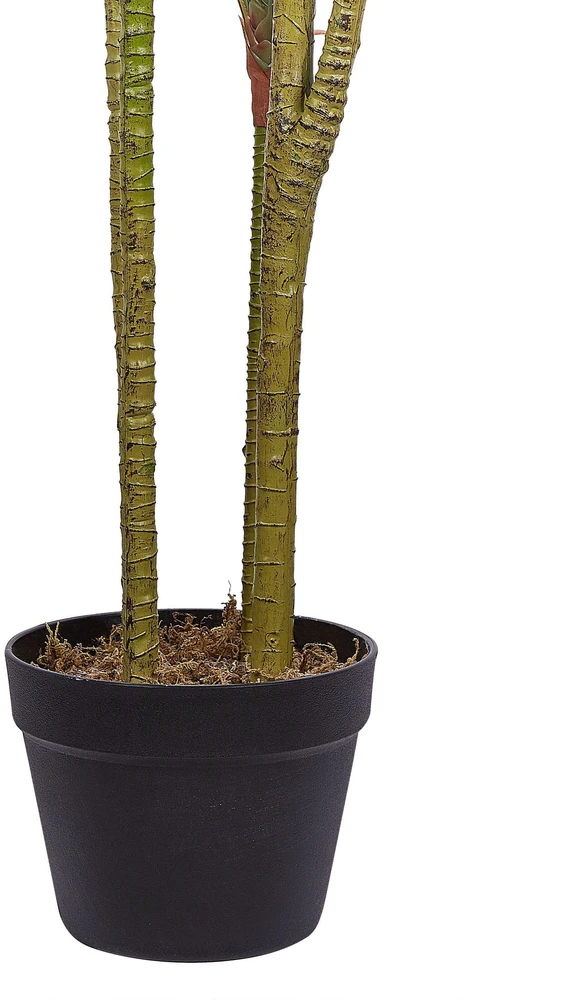 Beliani Dirbtinis augalas DRACAENA ANITA 147 cm žalias