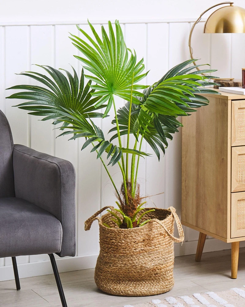Beliani Dirbtinis augalas FAN PALM 100 cm Žalias