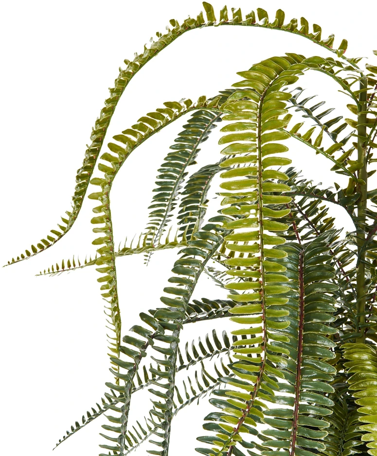 Beliani Dirbtinis augalas FERN LEAF PLANT 105 cm žalias