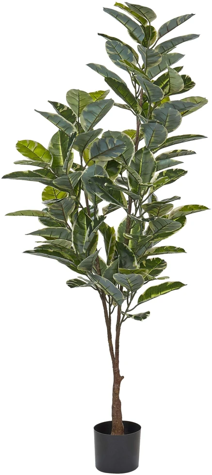 Beliani Dirbtinis augalas FICUS ELASTICA 160 cm žalias
