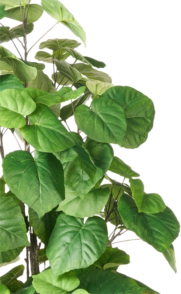 Beliani Dirbtinis augalas FICUS TREE 160 cm žalias