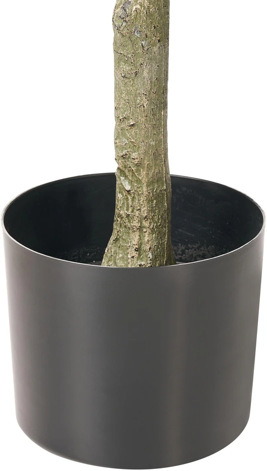 Beliani Dirbtinis augalas FICUS TREE 160 cm žalias