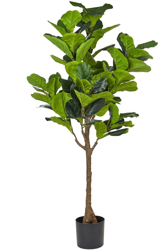Beliani Dirbtinis augalas FIG TREE 162 cm žalias