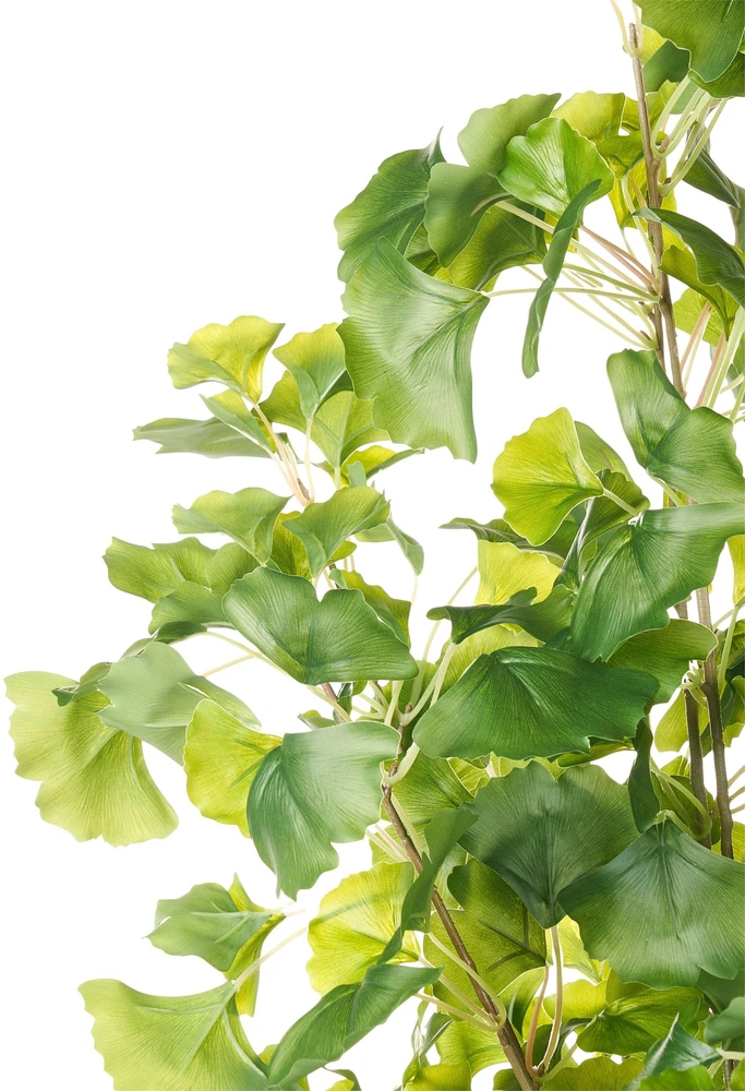 Beliani Dirbtinis augalas GINKGO TREE 150 cm žalias