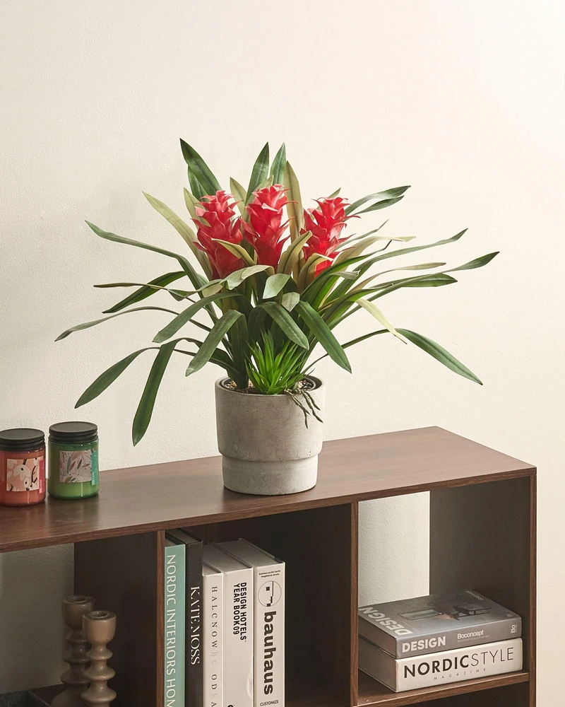 Beliani Dirbtinis augalas GUZMANIA ATILLA 50 cm Žalias