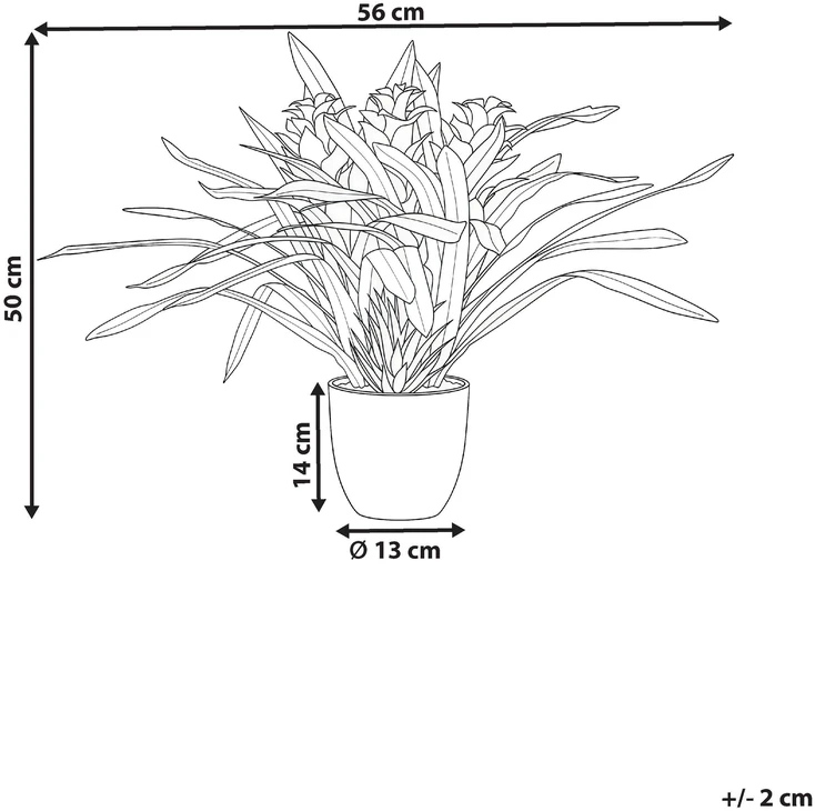 Beliani Dirbtinis augalas GUZMANIA ATILLA 50 cm Žalias