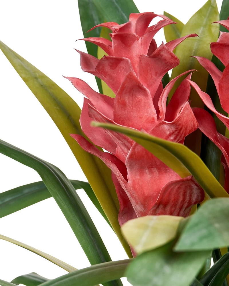 Beliani Dirbtinis augalas GUZMANIA ATILLA 50 cm Žalias