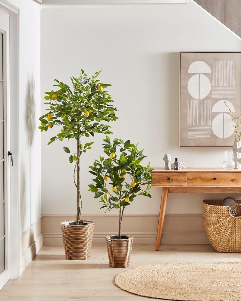 Beliani Dirbtinis augalas LEMON TREE 156 cm žalias