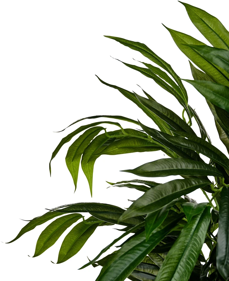 Beliani Dirbtinis augalas LONGIFOLIA 155 cm žalias