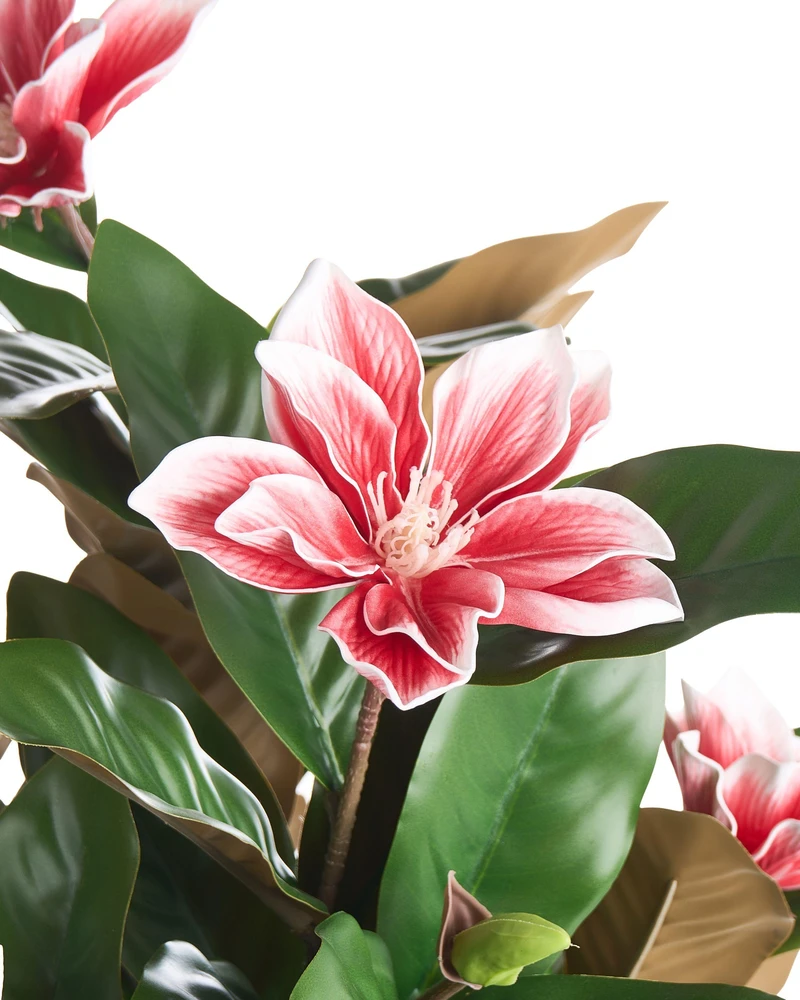Beliani Dirbtinis augalas MAGNOLIA TREE 90 cm raudonas