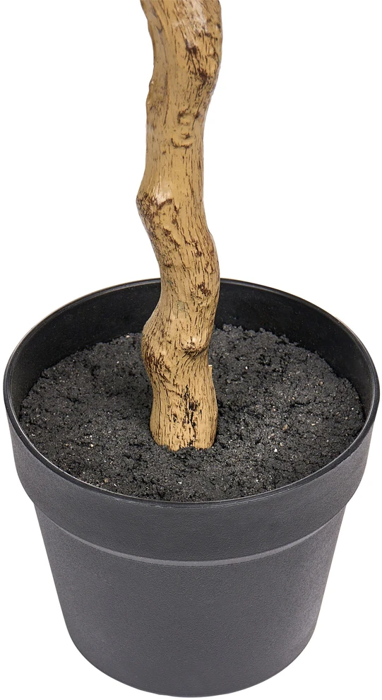 Beliani Dirbtinis augalas MAGNOLIA TREE 128 cm žalias