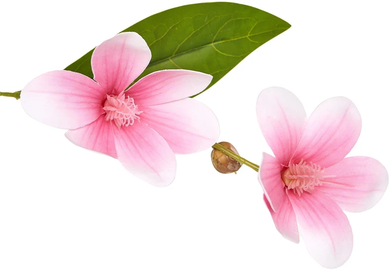 Beliani Dirbtinis augalas MAGNOLIA TREE 128 cm žalias