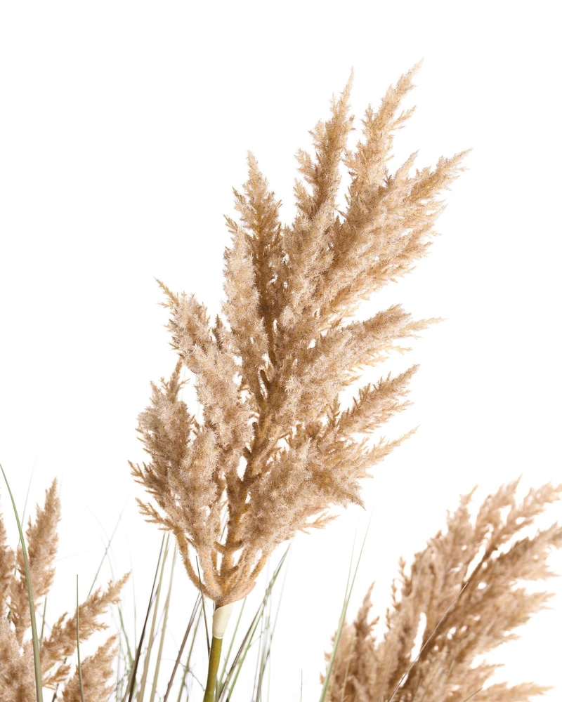 Beliani Dirbtinis augalas MISCANTHUS GRASS 120 cm rudas