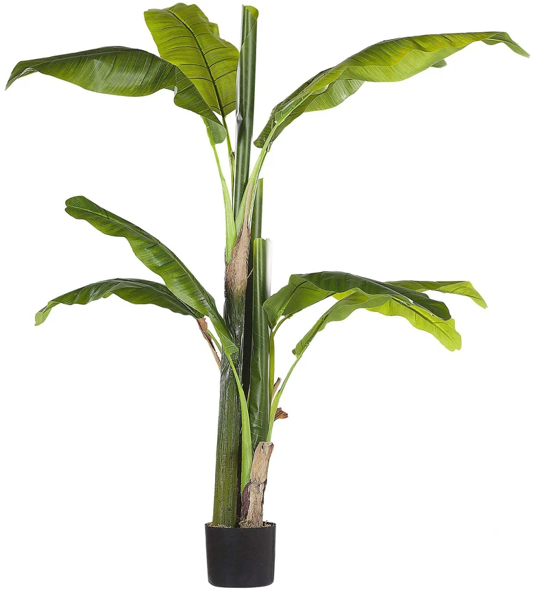 Beliani Dirbtinis augalas MUSA TREE 154 cm žalias