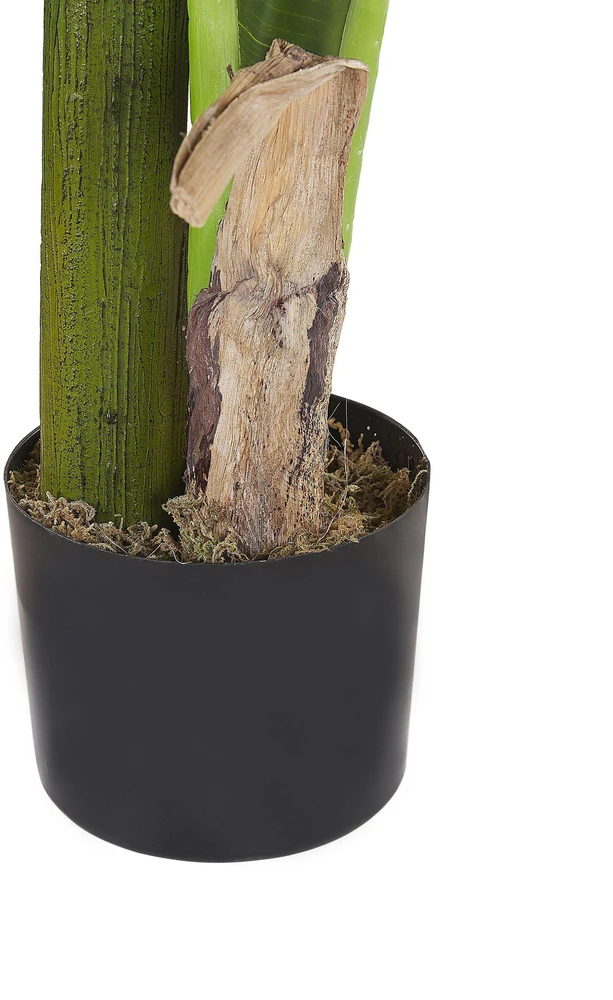 Beliani Dirbtinis augalas MUSA TREE 154 cm žalias