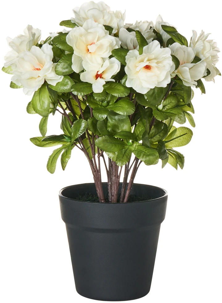 Beliani Dirbtinis augalas NOVELLA 36 cm Baltas