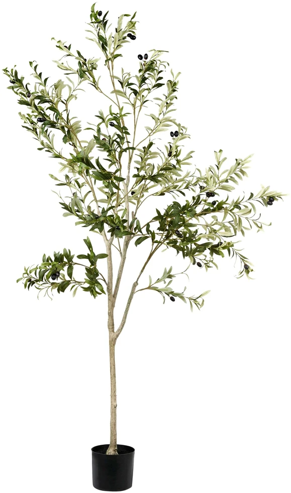 Beliani Dirbtinis augalas OLIVE TREE 178 cm žalias
