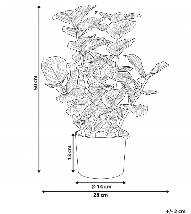 Beliani Dirbtinis augalas ORBIFOLIA 50 cm, žalias