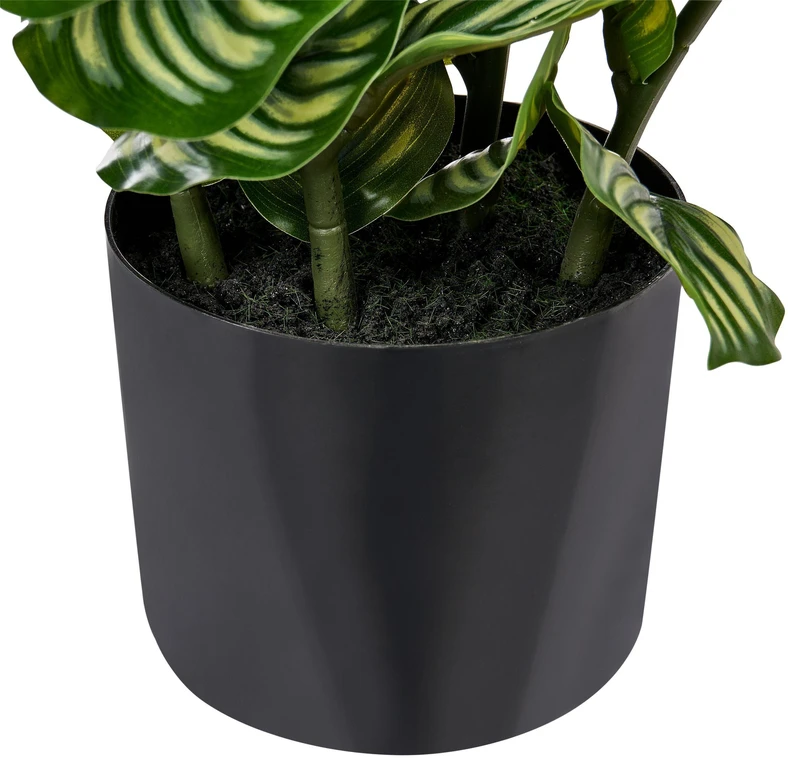 Beliani Dirbtinis augalas ORBIFOLIA 50 cm, žalias