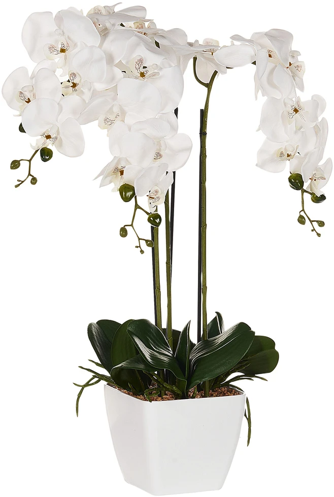 Beliani Dirbtinis augalas ORCHID 59 cm baltas