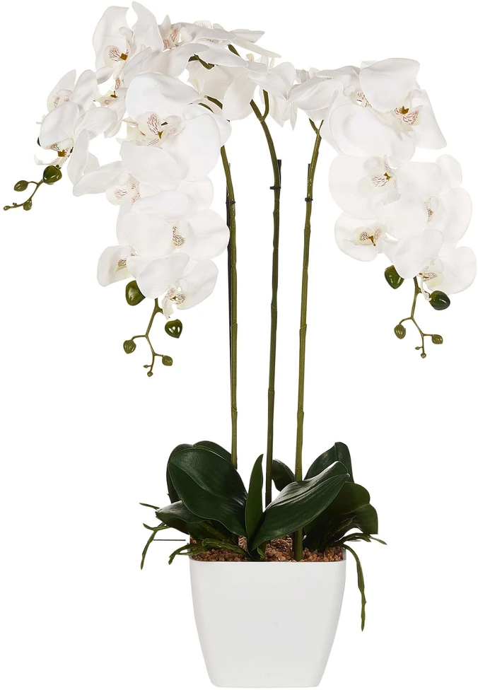Beliani Dirbtinis augalas ORCHID 59 cm baltas