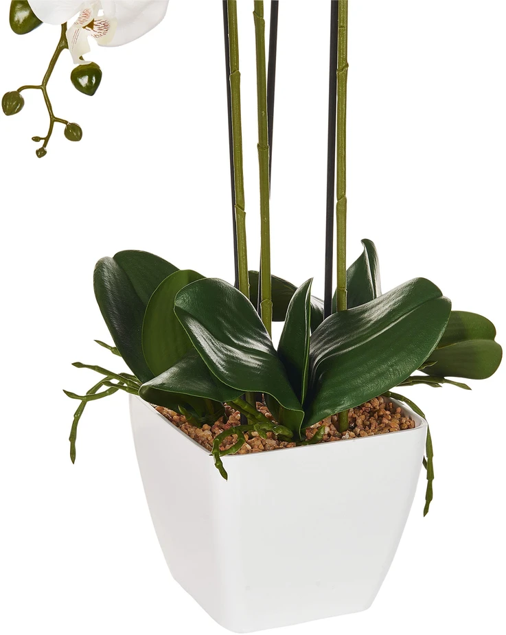 Beliani Dirbtinis augalas ORCHID 59 cm baltas