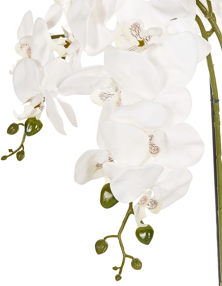 Beliani Dirbtinis augalas ORCHID 59 cm baltas