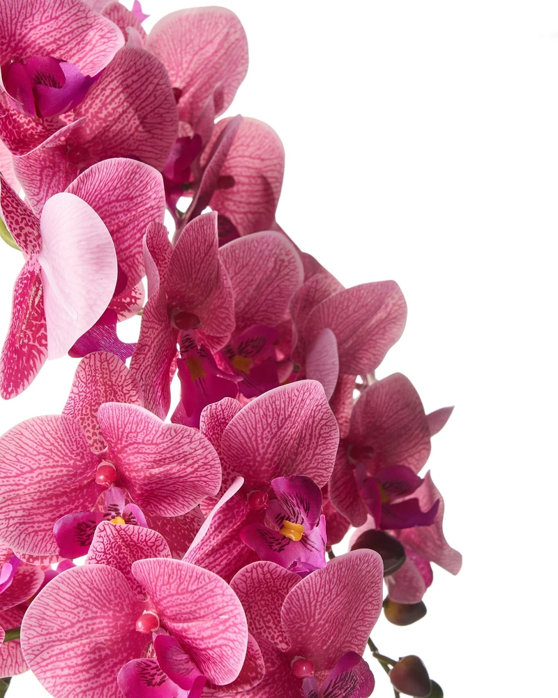 Beliani Dirbtinis augalas ORCHID 65 cm, rausvas