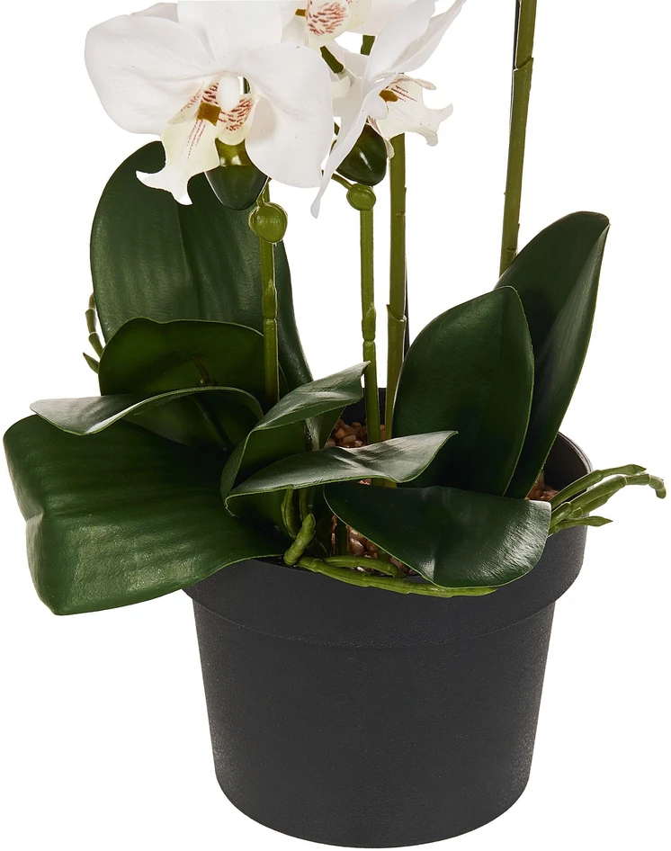 Beliani Dirbtinis augalas ORCHID 65 cm baltas