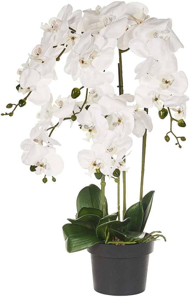 Beliani Dirbtinis augalas ORCHID 65 cm baltas