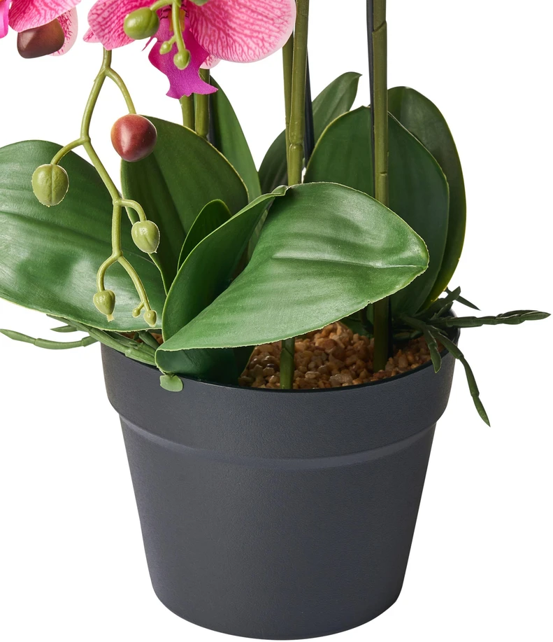 Beliani Dirbtinis augalas ORCHID 65 cm, rausvas