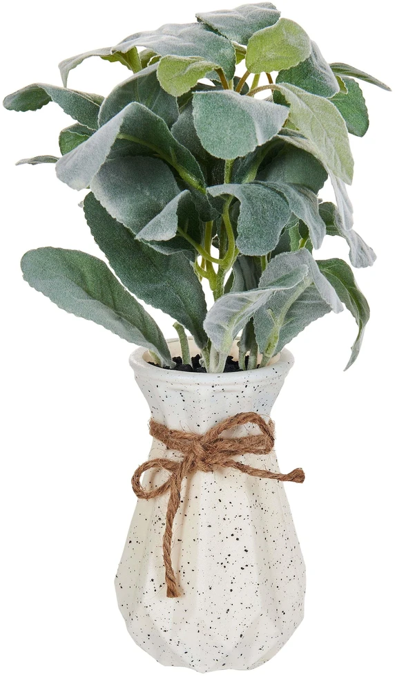 Beliani Dirbtinis augalas PEPEROMIA ARGYREIA 30 cm žalias
