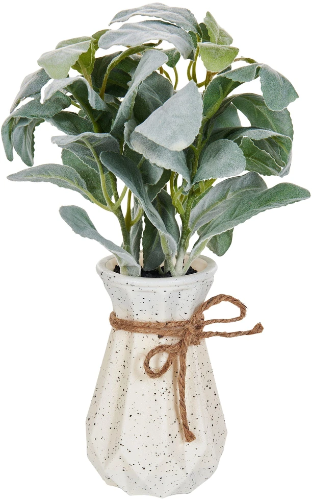 Beliani Dirbtinis augalas PEPEROMIA ARGYREIA 30 cm žalias