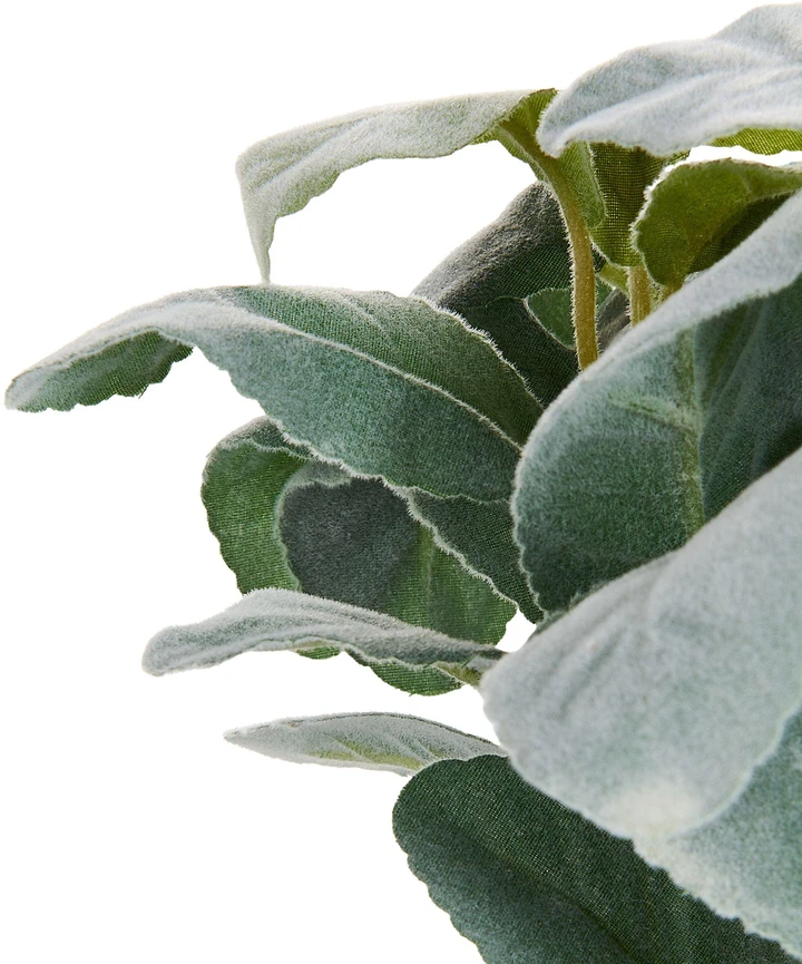 Beliani Dirbtinis augalas PEPEROMIA ARGYREIA 30 cm žalias