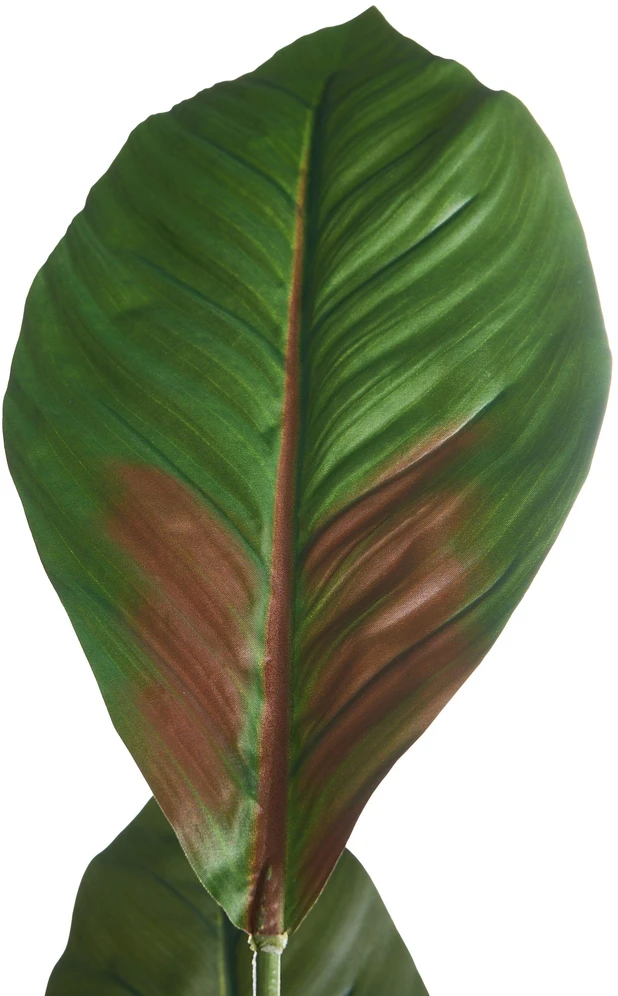 Beliani Dirbtinis augalas PURPURATA 130 cm raudonas