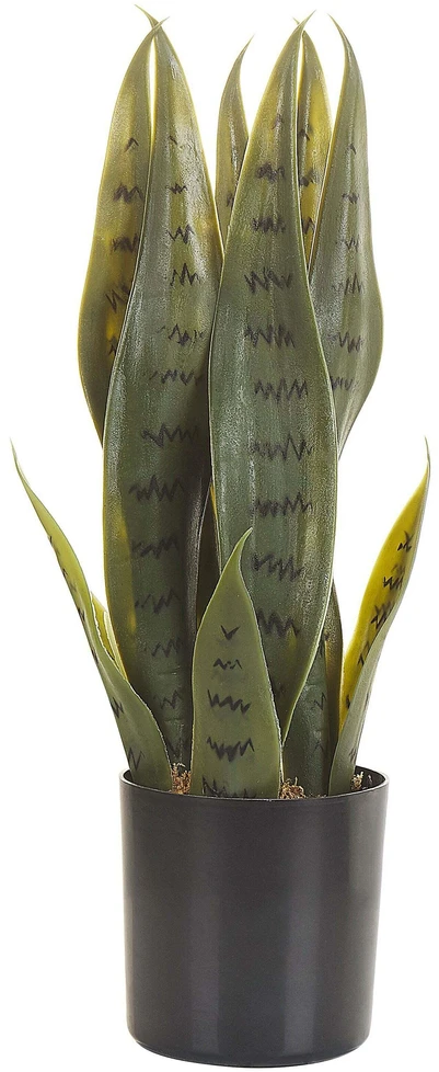 Beliani Dirbtinis augalas SNAKE PLANT 40 cm Žalias