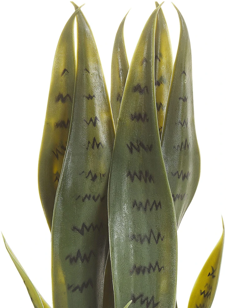 Beliani Dirbtinis augalas SNAKE PLANT 40 cm Žalias